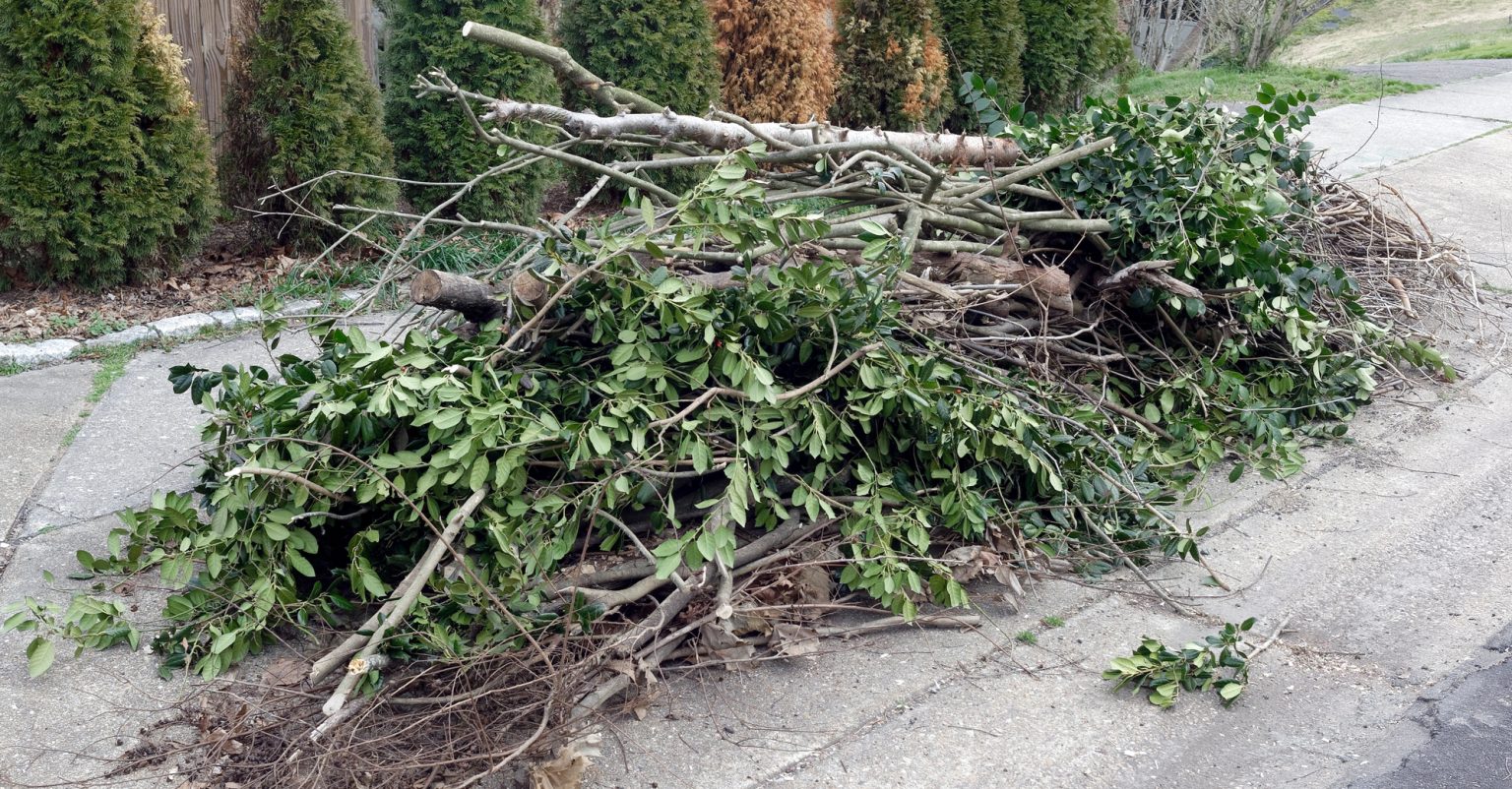 GREEN WASTE